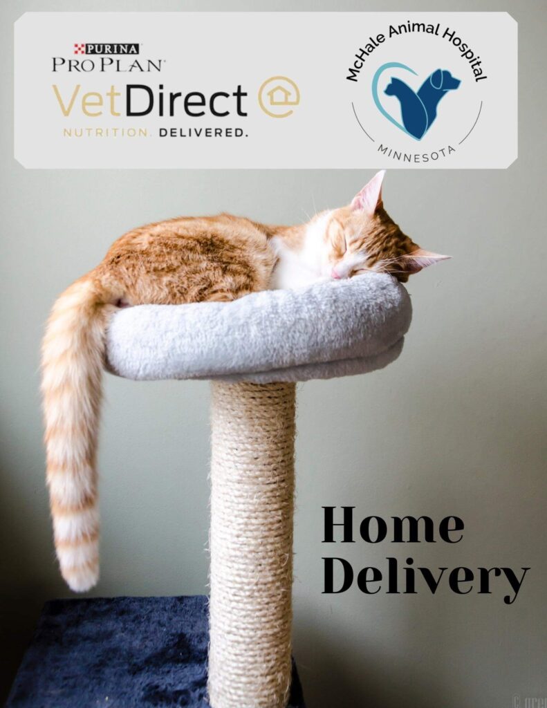 Poster for Purina Vet Direct